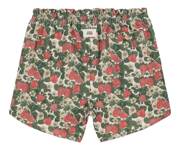 Photo de SHORT_GEORGETTE_ _STRAWBERRY2_png par Les Biscottes