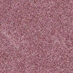 Photo de WEB vignette fines coco canelle_1ec2d551 f9b5 4f1b 8b49 b521229dc00d par Les Biscottes