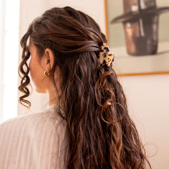 Photo de bachca grande pince ecaille_png par Les Biscottes