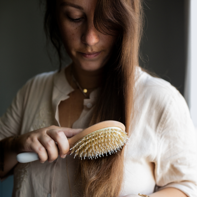Brosse Démêlage et Brillance - Bachca