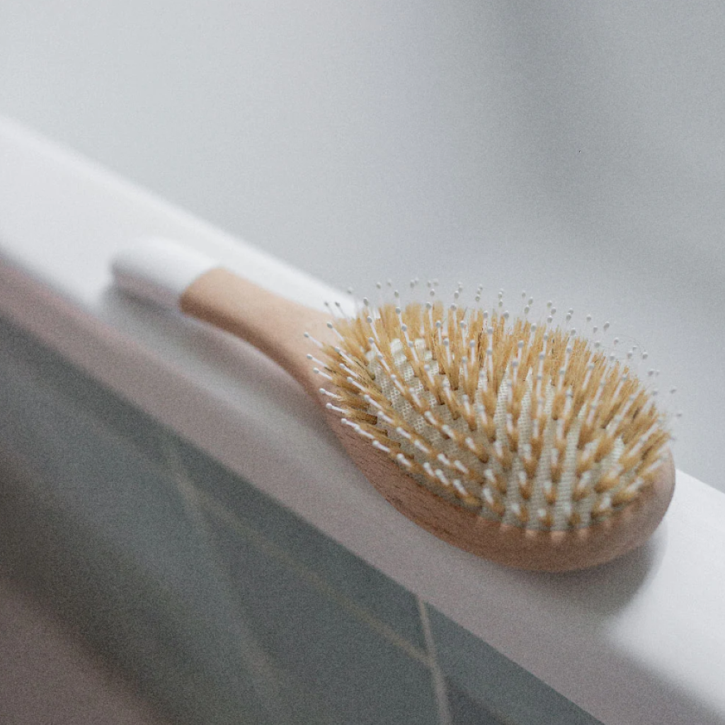Photo de brosse soies sanglier bachca 1 par Les Biscottes
