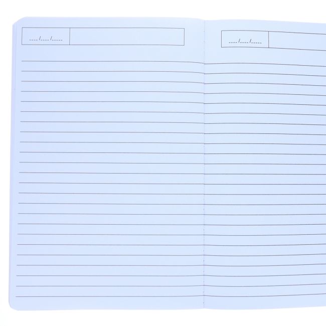 Photo de carnet notes grand dino mercredi 2 par Les Biscottes