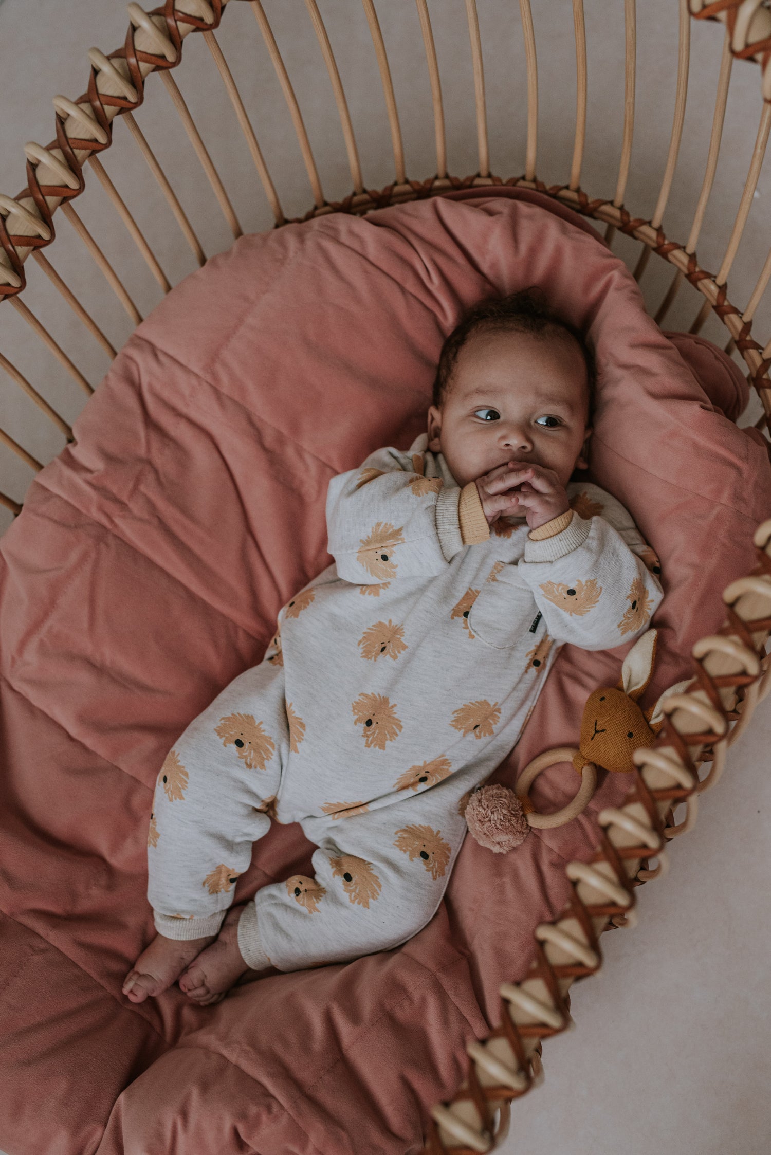 Combinaison Bébé Dogs - Sproet & Sprout