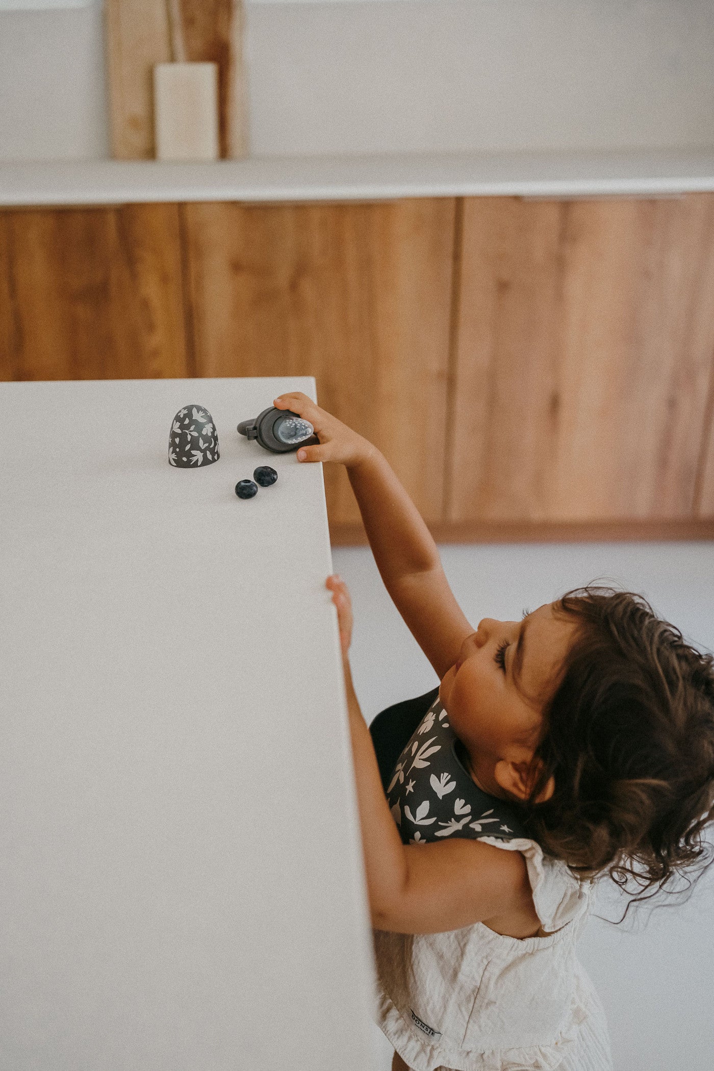 Grignoteuse Birdy - Zakuw