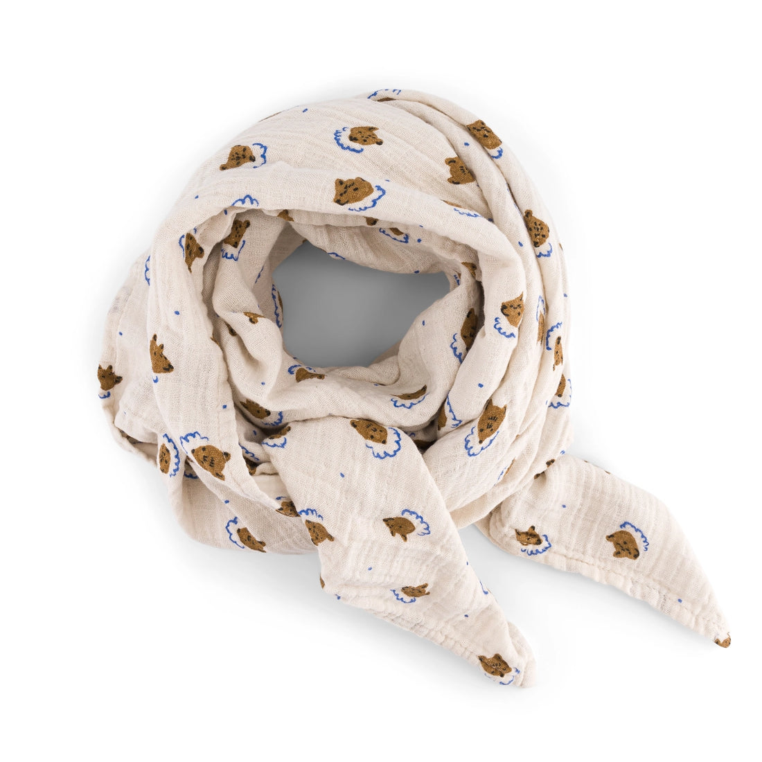 Photo de lange bianca teddy rose in april 3 par Les Biscottes