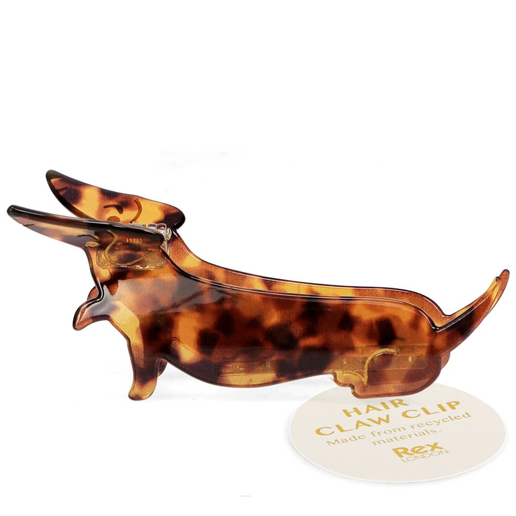 Pince Teckel - Rex