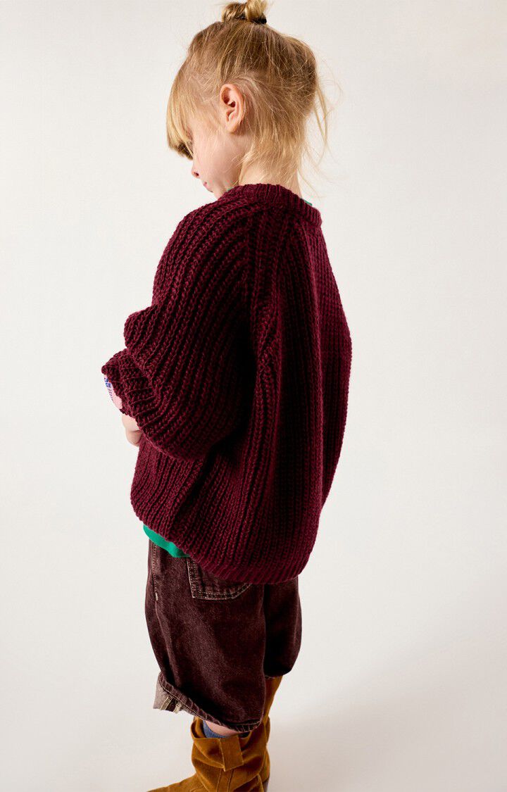 Pull Cyrow Bordeaux Chiné - American Vintage Kids
