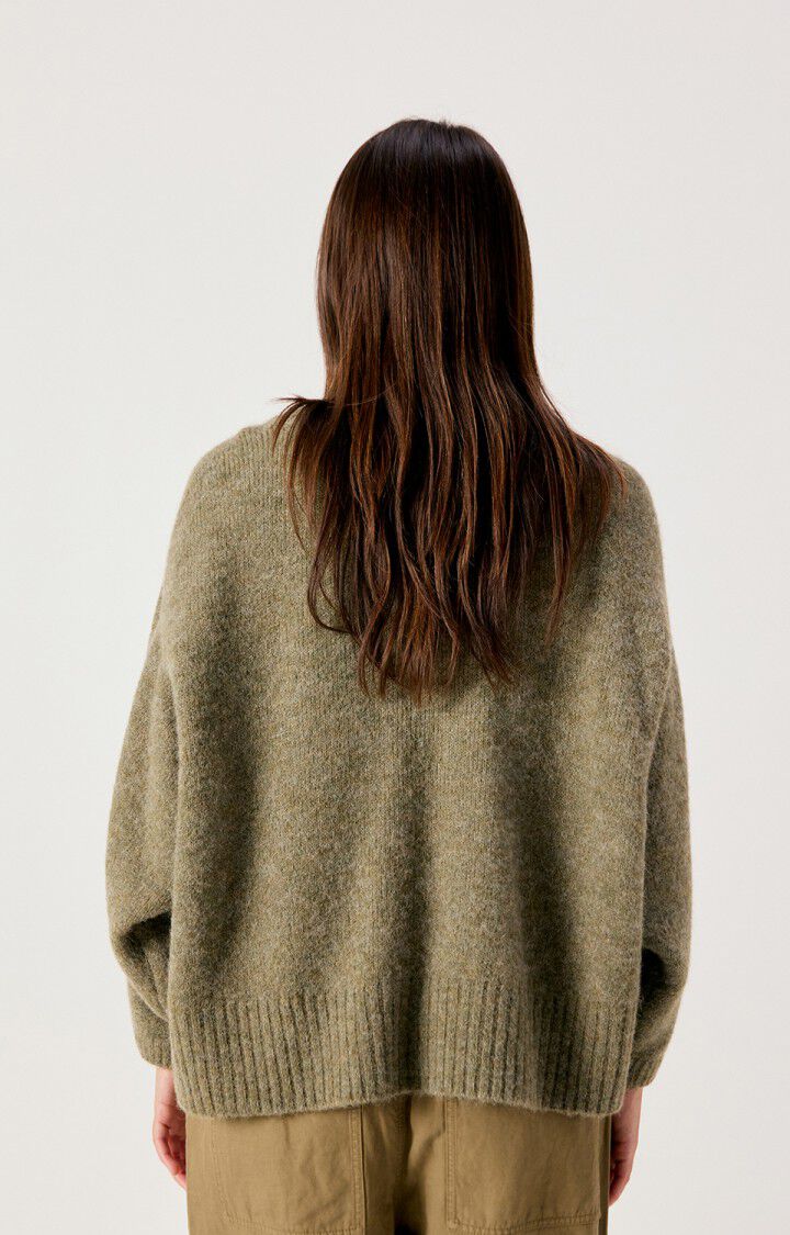Pull East Lézard Chiné - American Vintage