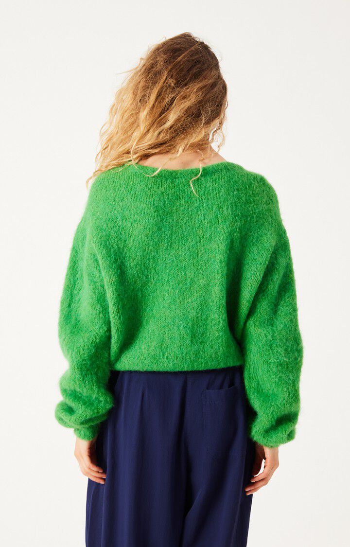 Pull Niby Coriandre Chiné - American Vintage