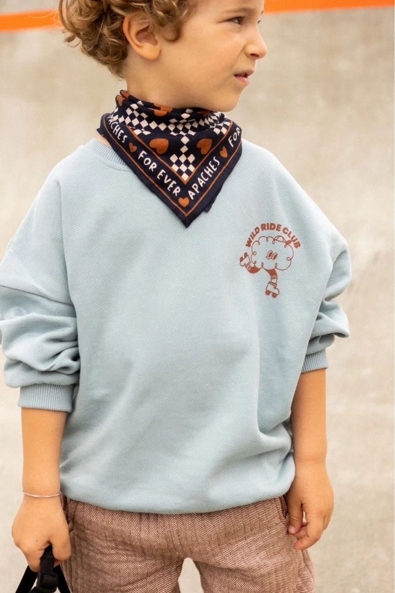 Sweat Balloon Ride Sky - Apaches Collections