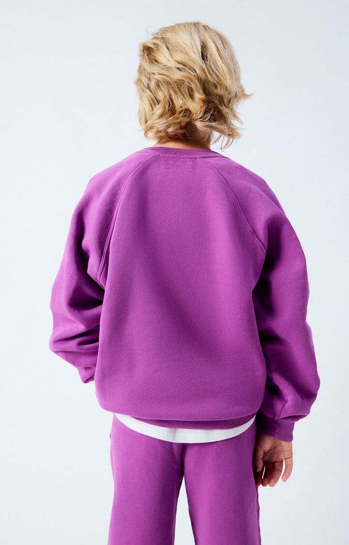 Sweat Izubird Jus de Raisin - American Vintage Kids