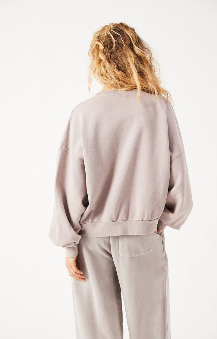 Sweat Jitbay Brumeux Vintage - American Vintage