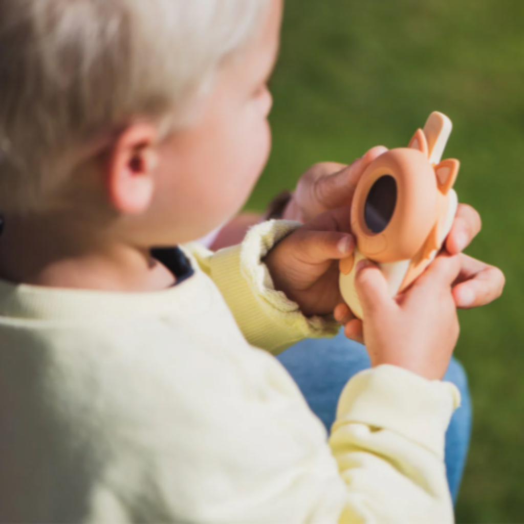 Photo de talkie walkie renard the zoofamily 5 par Les Biscottes